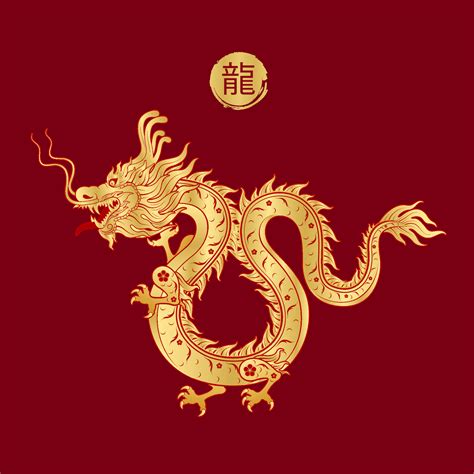 Chinese dragon gold modern flower pattern. Isolated on red background ...