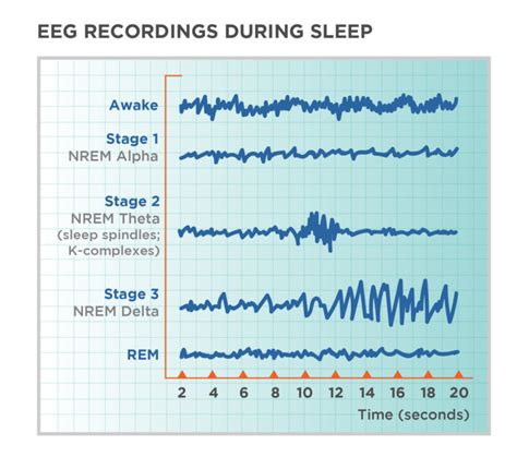 Stages of Sleep | Introduction to Psychology