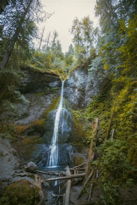 Three Waterfalls in Olympic National Park