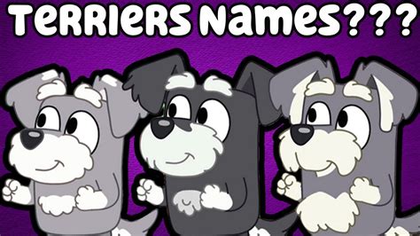 FINALLY we found out The Terriers names from Bluey! - YouTube