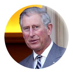 Charles of Wales's Popularity Ranking on Internet | Prince charles, Prince charles and camilla ...