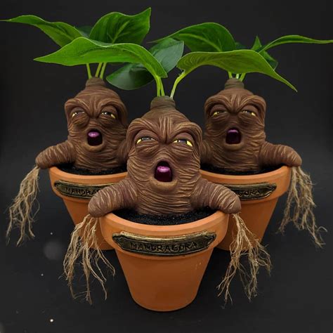 Mandrake in Pot Screaming Mandrake Crying Mandrake Harry - Etsy