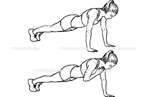 Plank Shoulder Taps / Planks – WorkoutLabs Exercise Guide