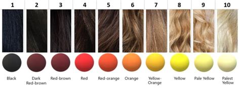 7.2 Tint Back – Hair Colour for Hairstylists: Level 2