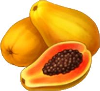 Papaya | Taonga Island Adventure Wiki | Fandom