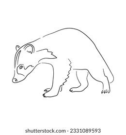 Sketch Drawing Badger Isolated On White Stock Vector (Royalty Free ...