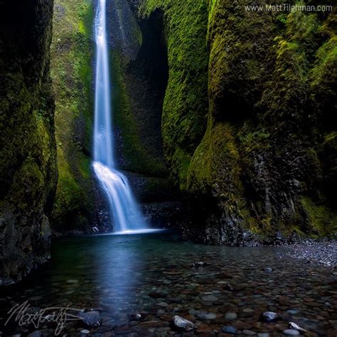 shown here is Lower Oneonta Falls, an intimate waterfall at the end of Oneonta Gorge, on the ...