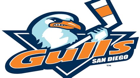 New San Diego Pro Hockey Team to Keep Gulls Name? - Times of San Diego