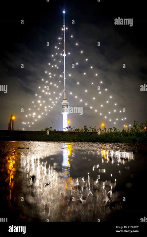 IJSSELSTEIN - The lights in the 'largest Christmas tree in the ...