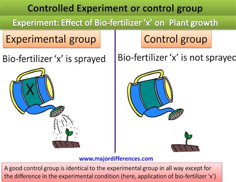 Control Group and Experimental Group