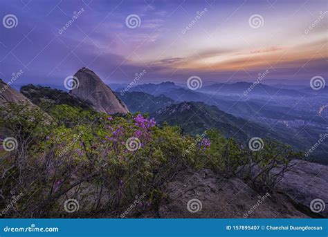 Sunrise on the Bukhansan National Park South Korea Stock Image - Image of tree, park: 157895407