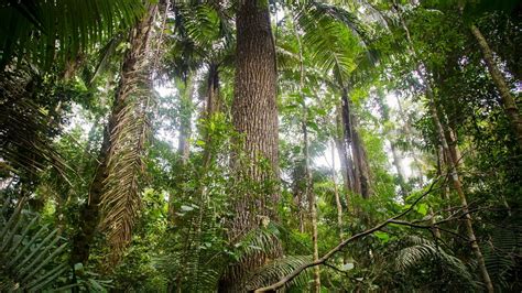 Q&A: Peruvian Ecologist Vows "You Fight Until You Fall Dead"