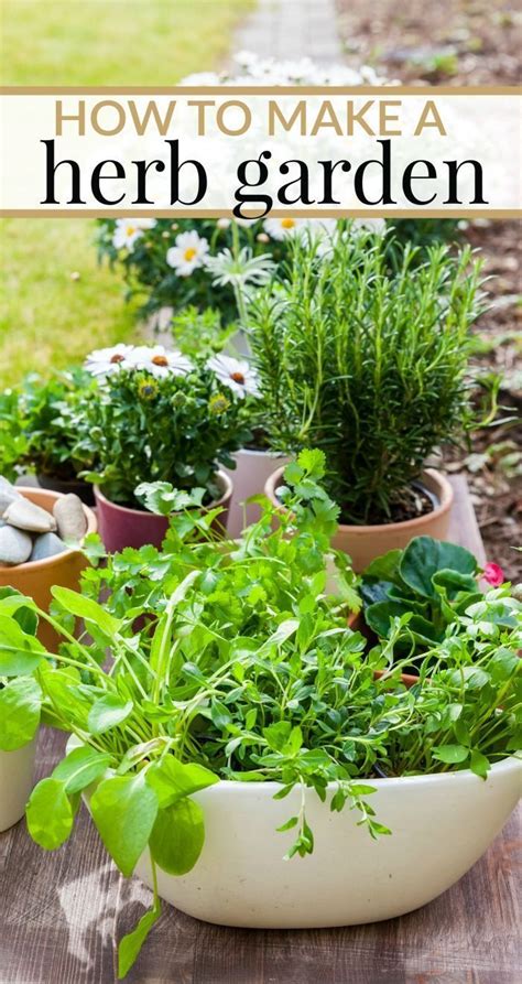 Herb gardening for beginners | Home vegetable garden, Organic gardening ...