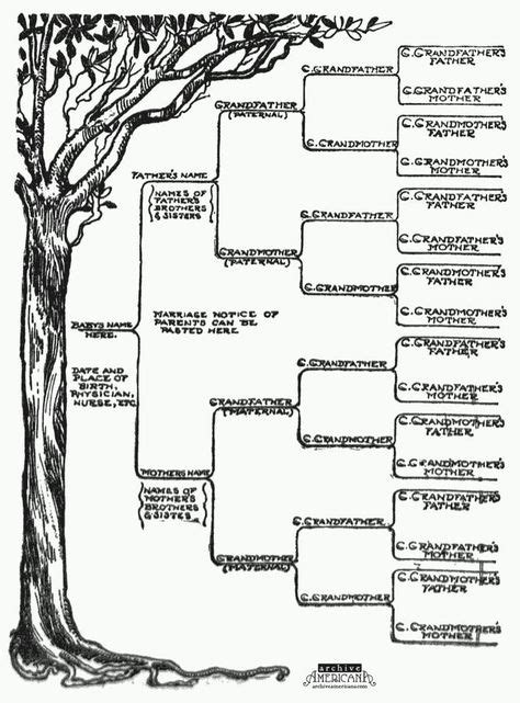 Start a genealogical record for your family (1905) | Family tree project, Family trees diy, Free ...