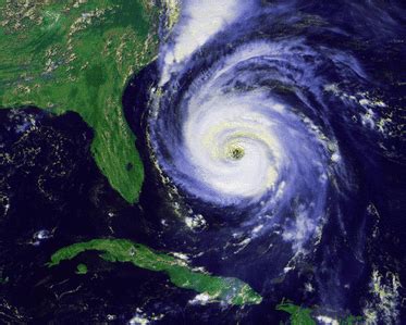 Hurricanes - THe Impact of Catastrophic Events on Ecosystems