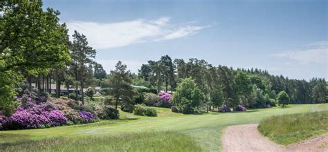 Liphook Golf Club | Hampshire | English Golf Courses