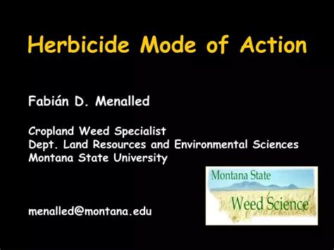 PPT - Herbicide Mode of Action PowerPoint Presentation - ID:4253698