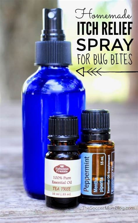 Soothing Homemade Itch Relief Spray for Bug Bites - The Soccer Mom Blog