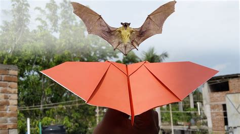 Paper Bat Airplane | How To Make Paper Plan That Fly like A Bat | Cool Design Origami Bat Plane ...