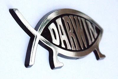 Darwin Fish Car Badge - Darwin Fish and Evolve Fish - UK Based