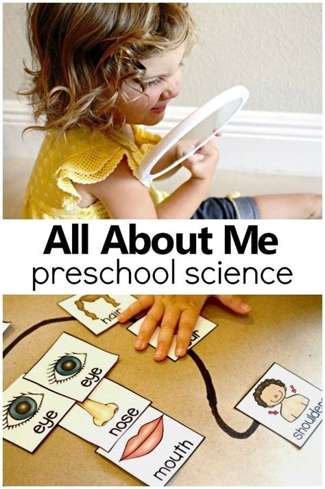 All About Me Preschool Science - Fantastic Fun & Learning | Preschool ...