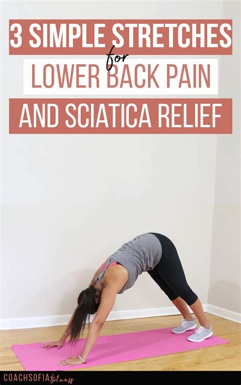 3 Simple Stretches for Lower back and Sciatica Relief - Coach Sofia