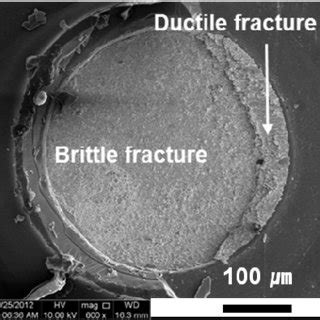 (PDF) Effect of Thin ENEPIG Plating Thickness on Interfacial Reaction ...