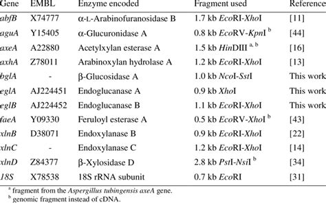 Probes used in northern blot analysis. | Download Table