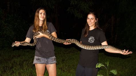 Jobs of NT: Snake Catcher - ABC Darwin