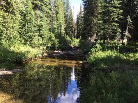 Hiking to Hidden Lake from Hard Creek Campground.