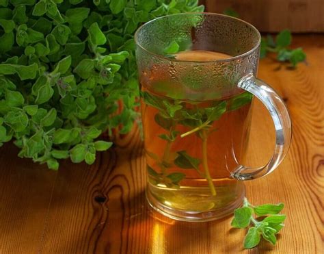 Oregano tea: benefits and how to make - ThedietMD