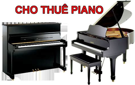 Cho Thuê Đàn Piano - Đàn Piano Điện