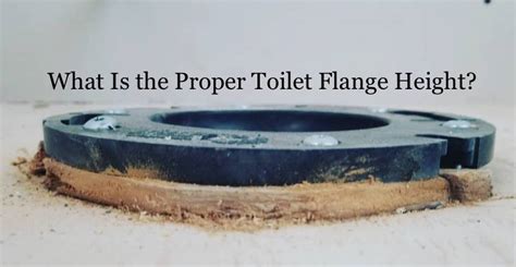 Toilet Flange Height Tile Floor – Flooring Guide by Cinvex