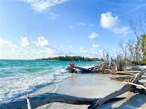 Tips For Visiting Beer Can Island (Longboat Key) - Florida Trippers