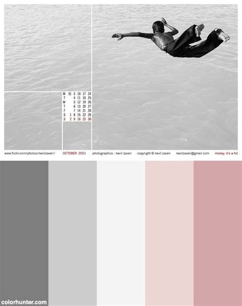 Grey And Pink Color Palette