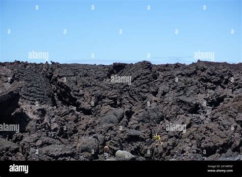 Pohoiki Black Sand Beach in Isaac Hale Beach Park in Hawaii - Hawaii's newest beach, created by ...