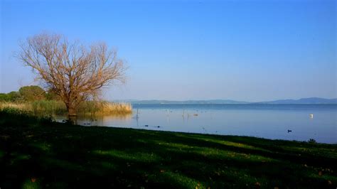 Lake Trasimeno #2 by SoulShapedFace on DeviantArt