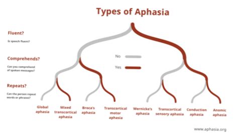 Difference between Aphasia and Dysphagia | Differbetween