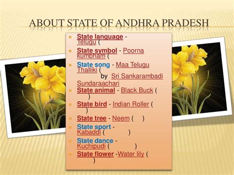 Andhra pradesh history