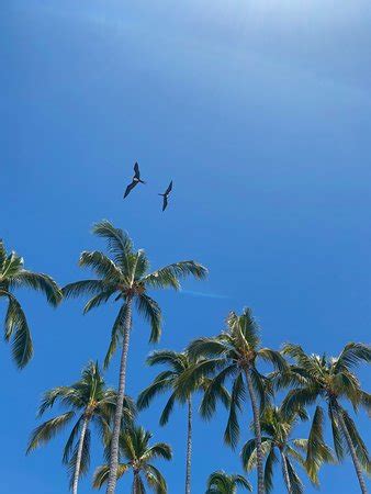 Malecon Boardwalk (Puerto Vallarta) - 2020 All You Need to Know BEFORE You Go (with Photos ...