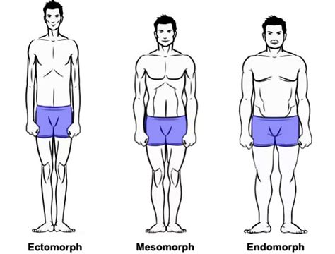 Somatotypes: Knowing Your Body Type & Debunking The Myth - Greatest ...