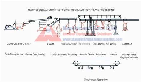 Slaughter Flow Chart