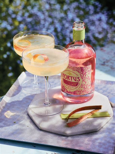 House Of Hortus: Lidl Are Launching A Beautiful Pop-Up Gin Bar And The Drinks Are Free