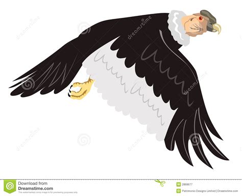 Andean condor clipart 20 free Cliparts | Download images on Clipground 2024