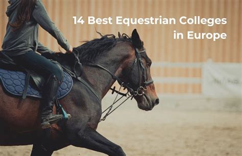 14 Best Equestrian Colleges in Europe - Everything Horse Magazine