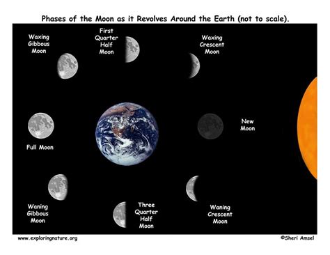 From "Science for Kids: Moon Phases" story by SmilePlayLearn on Storify — http://storify.com ...