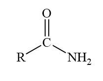 Amides Examples