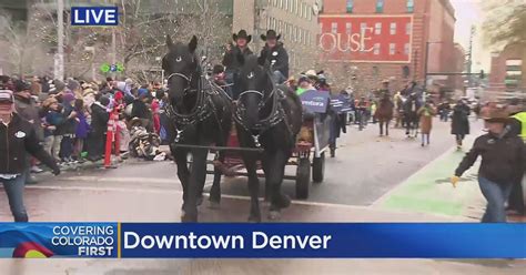 National Western Stock Show kick-off parade hits the streets of Denver - CBS Colorado