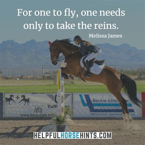 45+ Horseback Riding Quotes That Will Inspire You (w/ Shareable Pictures) | Helpful Horse Hints