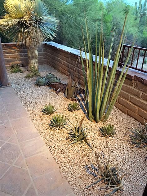 Xeriscape Phoenix | Landscapers - Arte Verde Landscaping